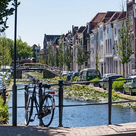 Elegant In The Heart Of