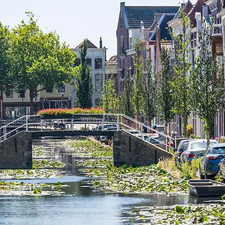 Elegant In The Heart Of * Gouda