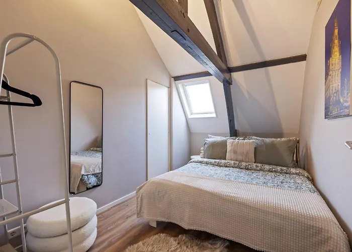 Appartement Elegant In The Heart Of Gouda