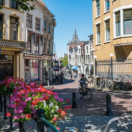 Elegant In The Heart Of *